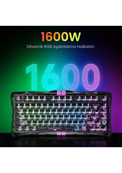 Gravastar Mercury V75 Rgb Manyetik Switch Türkçe Q Transparent Black Kablolu Gaming Klavye