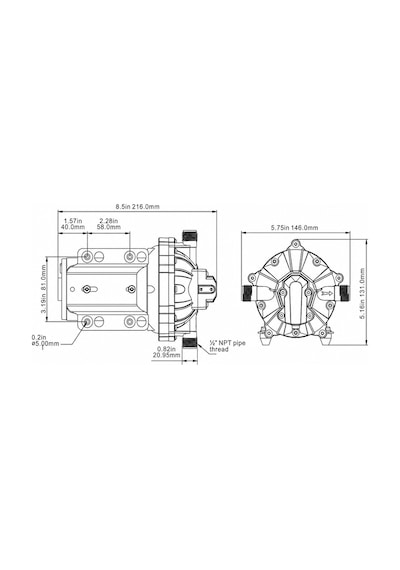 Seaflo Hidrofor Pompası 12V - 18.9 L/Dk - 60 PSI