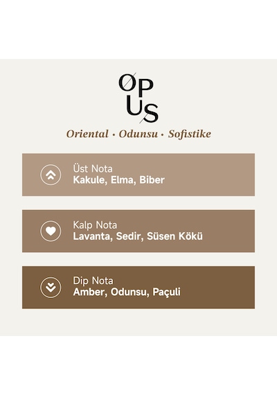 Mad Opus Erkek Parfüm EDP 100 ML