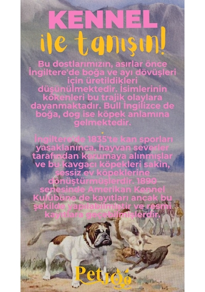 Petjoo 16.Kennel Sarı-Pembe Qr'lı Köpek Künyesi