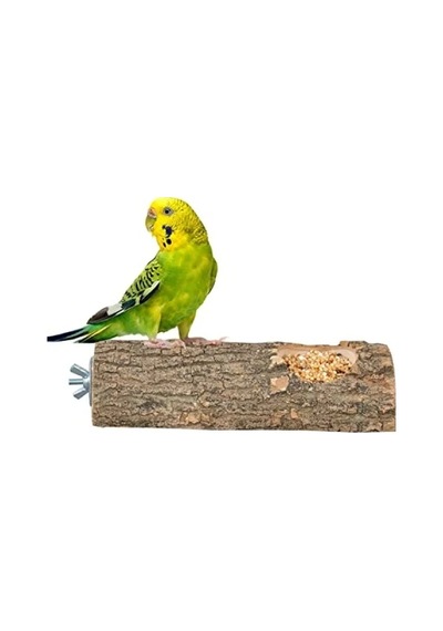 Doğal Ağaç Kuş Tüneği Ve Yemlik 15 Cm