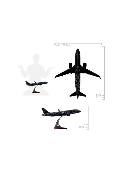 Zekupp Airbus A320, 1/100 Thy Siyah Renk, Desenli Uçak Maketi Zu-uck0113