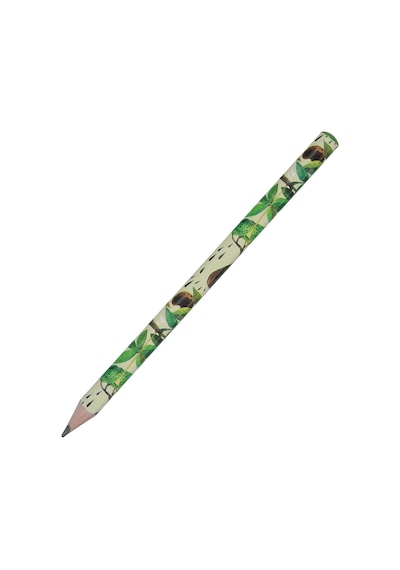 Bruno Visconti Kurşun Kalem Graphix 3,5 Mm 4b Baobab Çok Renkli