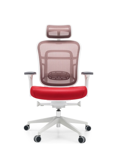 Passion Oyuncu Ofis Yönetici Çalışma Makam Koltuğu