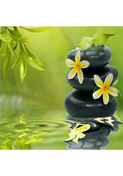 Spa Taşları Ve Orkide Doğal Taş Bardak Altlığı 4'lü Set - Natural Stone Coasters - Taş Çok Renkli
