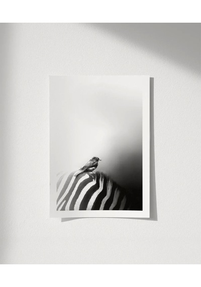 Çerçevesiz Poster Çizgilerin Üzerinde