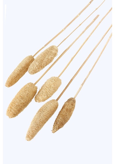 Yapay Çiçek Deposu Tropikal Tropic Luffa Kuru Çiçek Bambu Saplı 6 Adet