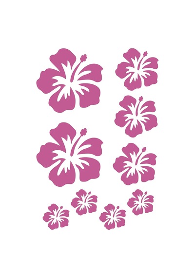 Lexroo Duvar Süsü Sticker Pembe Çiçekli Şeffaf Filmli Pvc