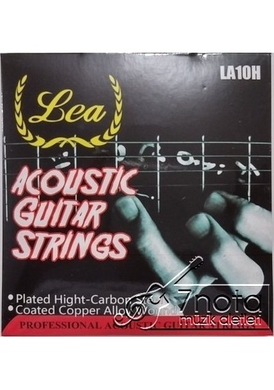 La-10h 010 Akustik Gitar Teli