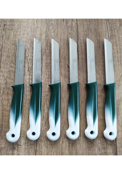 Solingen Marka Meyve Bıçağı 6'lı Set - Yeşil
