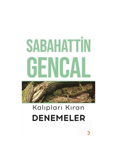 Kalıpları Kıran Denemeler / Sabahattin Ali