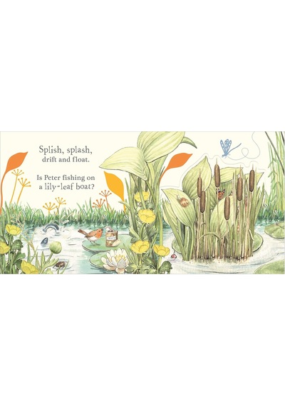 Where İs Peter Rabbit : Lift The Flap Book