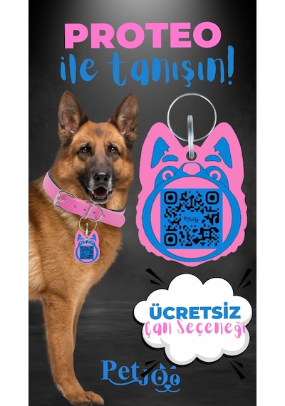 Petjoo 24.Proteo Mavi-Pembe Qr'lı Köpek Künyesi