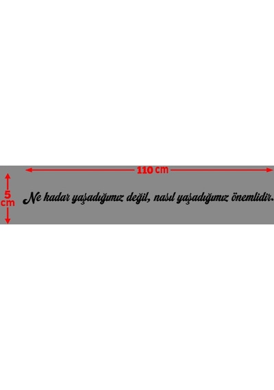 Oto Cam Yazı Sözleri Ticari-servis-dolmuş-panelvan Uzun Sticker Model 10