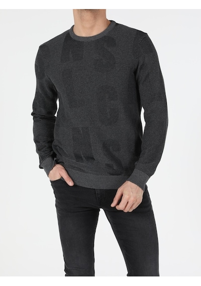 Colin's Slim Fit Bisiklet Yaka Erkek Antrasit Kazak CL1051569_Q1.V1_ANT