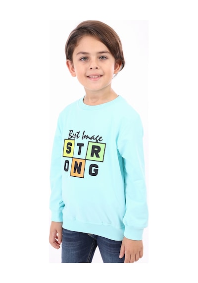 Toontoy Kids Toontoy Erkek Çocuk Baskılı Sweatshirt Su Yeşili