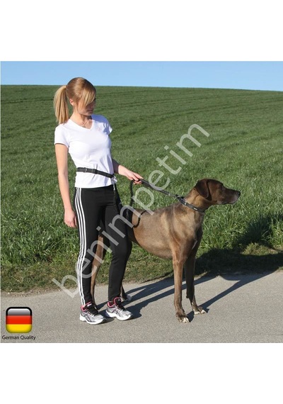 Köpek Koşu Tasması Active