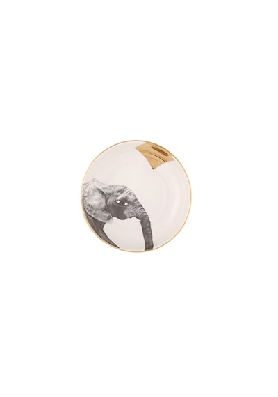 Porland Wild Life 4'lü Kase Takımı 17 CM