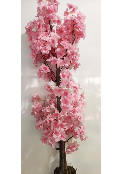 Rüzgar Çiçekcilik 1 Metre Açık Pembe Bahardali Pembe