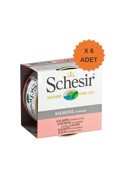 Schesir Somonlu Pişirme Suyunda Yetişkin Kedi Konservesi 85gr X 6 Adet