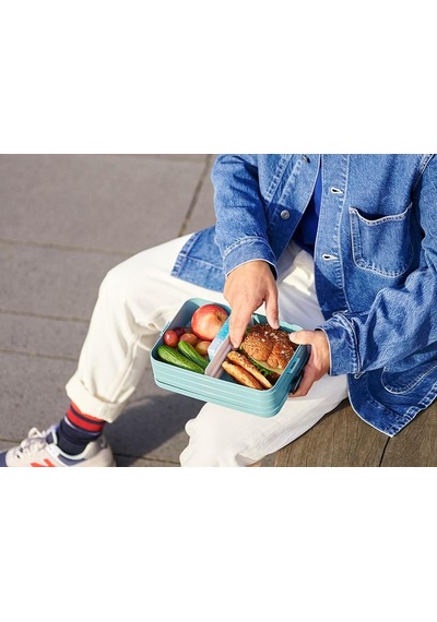 Rosti Lunchbox Take A Break Large A, Plastik, Nordic Pembe, 25,5 X 17 X 6,5 Cm Çok Renkli