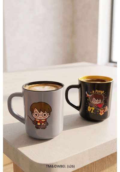 Harry Potter 2'li Kupa Seti 250 Cc Çok Renkli
