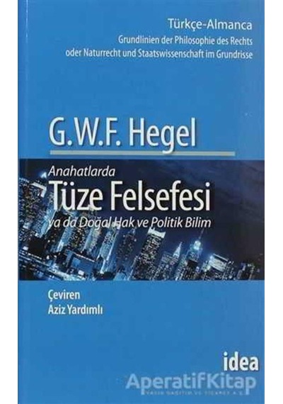 Tüze Felsefesi - Hegel - Georg Hegel - İdea Yayınevi