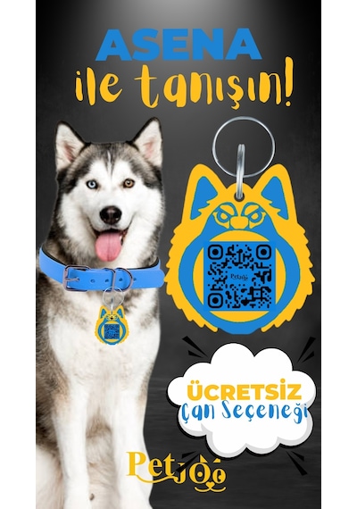 Petjoo 25.Asena Sarı-Mavi Qr'lı Köpek Künyesi