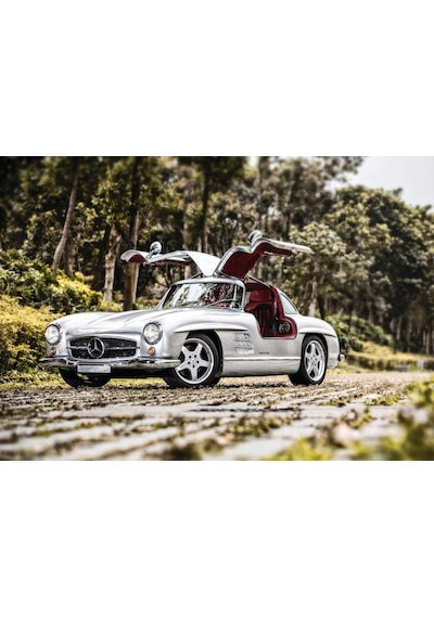 Ks Games 1000 Parça 300 Sl Gulwing Puzzle - David Petterson