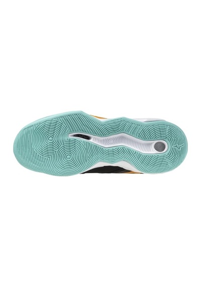 Mizuno Wave Momentum Pro Unisex Voleybol Ayakkabısı Siyah Çok Renkli