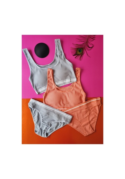 Demirsa Boutique Kaşkorse Kumaş 2'li Gül Kurusu Ve Mavi&gri Renk Pedli Sütyen Külot Takım Gülkurusu-mavi&gri Demirsa Boutique Kaşkorse Kumaş 2'li Gül Kurusu Ve Mavi&gri Renk Pedli Sütyen Külot Takım Gülkurusu-mavi&gri