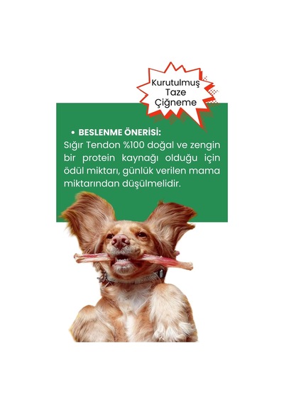 Havhav 2 Adet Sığır Tendon Çiğneme Çubuğu Köpek Ödülü