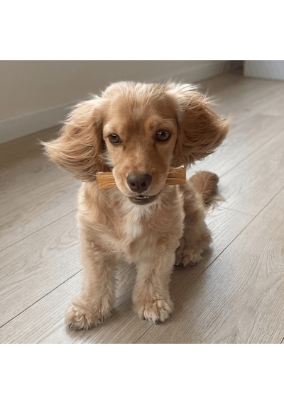 Kito Dana İnce Sinir Çiğnemelik Doğal Glutensiz Organik Köpek Ödül Maması 100 G