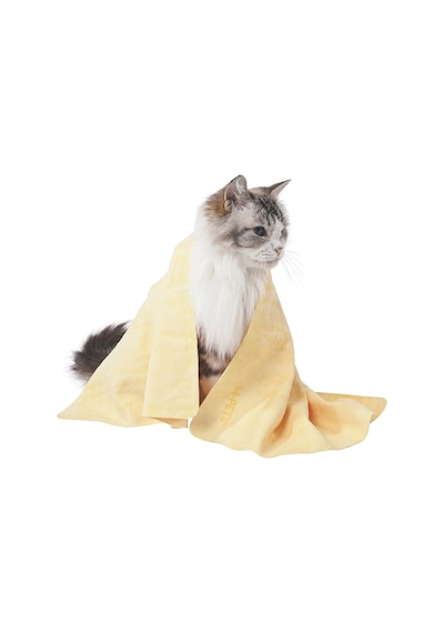 M-pets Bathtıme Kedi Ve Köpekler İçin Hızlı Kuruyan Havlu Yellow