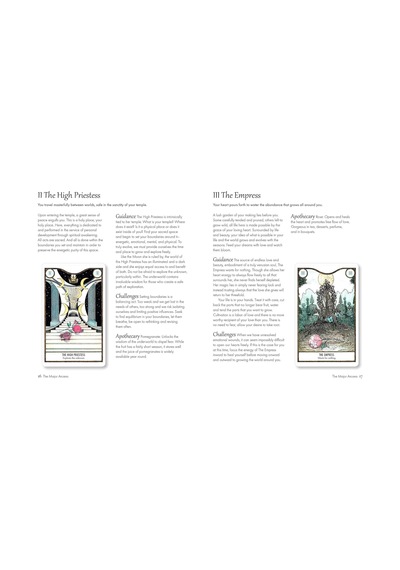 Elemental Power Tarot: Includes A Full Deck Of 78 Cards And A 64-page İllustrated Book