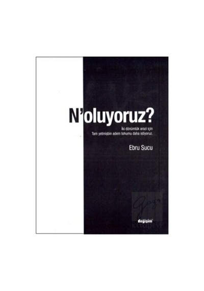 N'oluyoruz? - Ebru Sucu - Değişim Yayınları