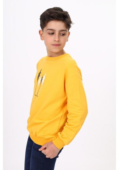 Toontoy Erkek Çocuk Baskılı Sweatshirt Hardal