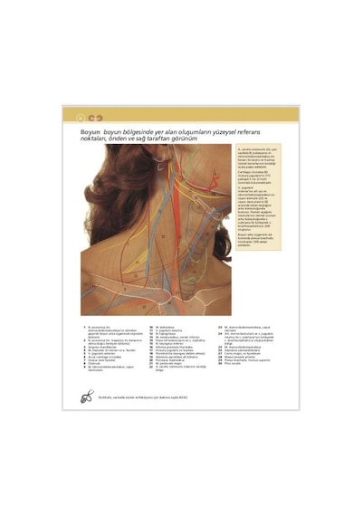 Mcminn & Abrahams İnsan Anatomisi Klinik Atlası