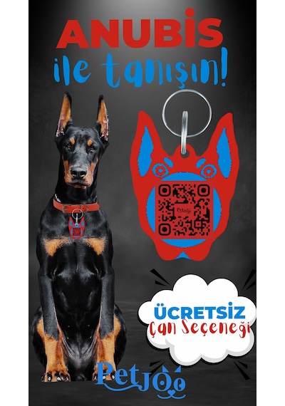 Petjoo 30.Anubis Mavi-Kırmızı Qr'lı Köpek Künyesi