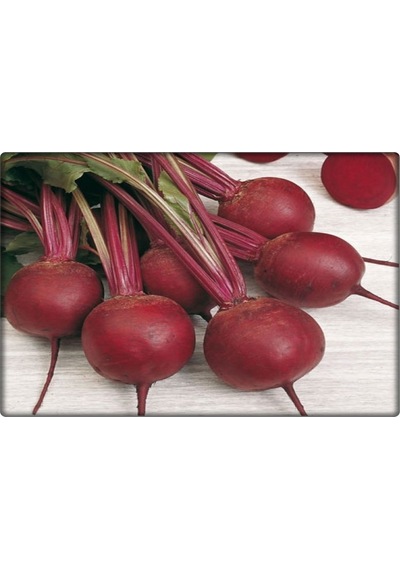 Kırmızı Pancar Tohumu 10 GR N115852