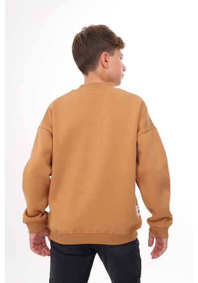 Toontoy Erkek Çocuk Baskılı Sweatshirt Kahverengi