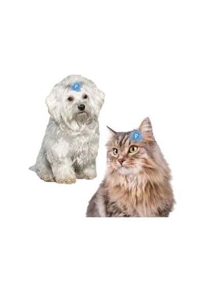 Kedi Ve Küçük Irk Köpek İçin Pensli Toka Tül Tokası Mavi Renk Evcil Hayvan Tokası 1 Adet