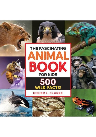 The Fascinating Animal Book For Kids 500 Wild Facts - Fascinating Facts Ciltli Rockridge Press