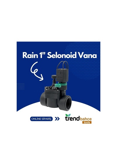 Rain 1'' Selonoid Vana 24v