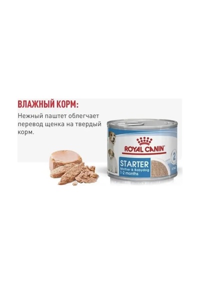 Royal Canin Royal Canin Starter Mousse 6 Adet, Her Biri 195 G 136115464