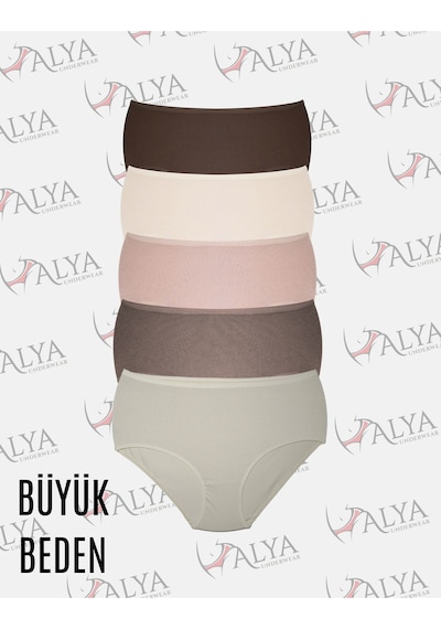 Alya Underwear Kadın Extra Battal Külot - 5 Adet Beyaz 8xl, 9xl, 10xl Çok Renkli P20