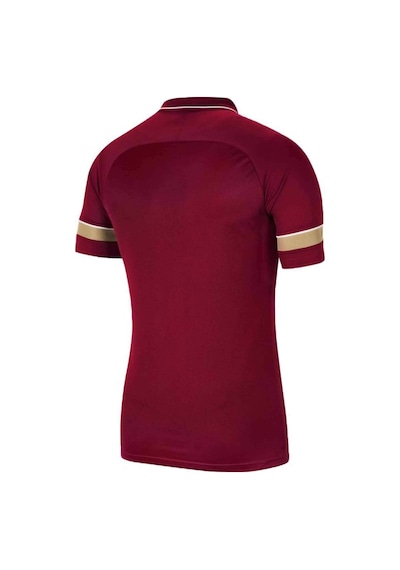 Nike Df Acd21 Polo Ss Erkek Tişört Cw6104-677-Bordo