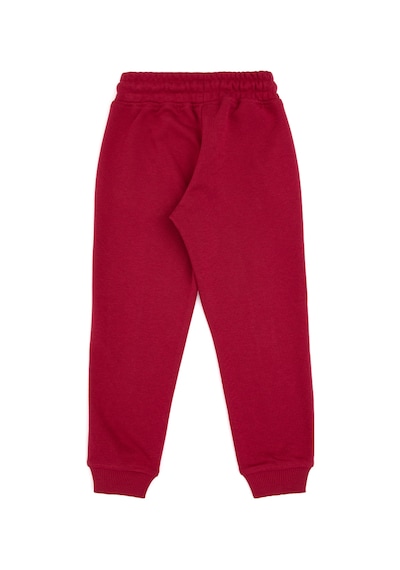 U.s. Polo Assn. Erkek Çocuk Eşofman Altı 50316517-vr104 Koyu Frambuaz/dark Raspberry