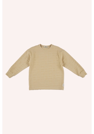 Erkek Çocuk Bej Sweatshirt Çok Renkli