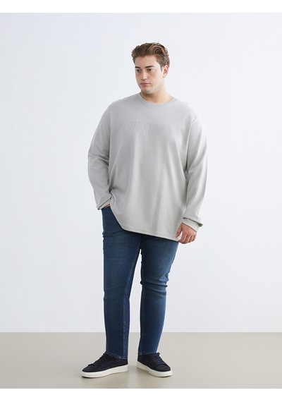 Lcwaıkıkı Classic Gri Büyük Beden Bisiklet Yaka Baskılı Erkek Sweatshirt